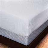 photos of Bed Bugs Plastic Mattress Covers