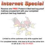 pictures of Bed Bugs Astoria Ny