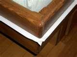 images of Bed Bugs Sticky Tape