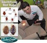 How Long Do Bed Bugs Last images