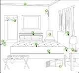 photos of Bed Bugs Ecosmart