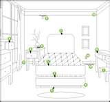 Bed Bugs Ecosmart pictures