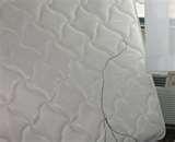 Bed Bugs Omaha Nebraska pictures