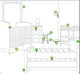Bed Bugs Ecosmart