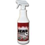 pictures of Bed Bugs Assistance