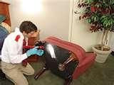 Bed Bugs Upholstered Furniture images