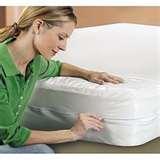 Bed Bugs Upholstered Furniture images