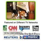 Bed Bugs Tv Commercial pictures