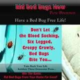 Bed Bugs Now What photos