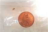 Bed Bugs Images Actual Size pictures