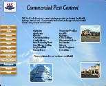 photos of Bed Bugs Iowa Hotels