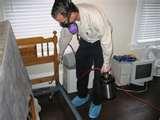 photos of Bed Bugs Jump Do