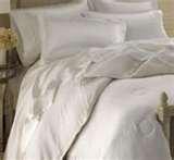 Bed Bugs Down Comforter images