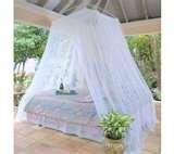 Bed Bugs Drop From Ceiling images