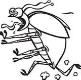 images of Bed Bugs Motels