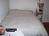 Bed Bugs Down Comforter images