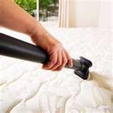 photos of Bed Bugs Poison