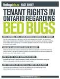 Bed Bugs Tenant Rights images