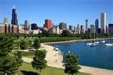 Bed Bugs Of Chicago pictures