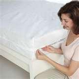 Bed Bugs Encasings pictures