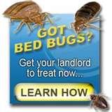 Bed Bugs Tenant Rights images