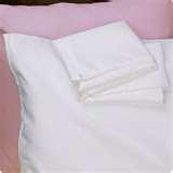 Bed Bugs Encasings photos