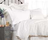 photos of Bed Bugs Encasings