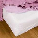 images of Bed Bugs Encasings