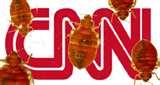 Bed Bugs Time Warner pictures