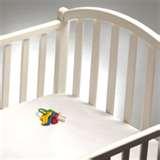 pictures of Bed Bugs Ut