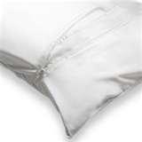 Bed Bugs Ut