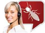Bed Bugs Ut