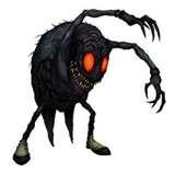Bed Bugs Ut
