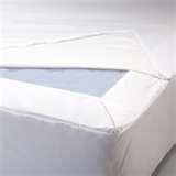 images of Bed Bugs Ut