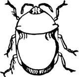 Bed Bugs Philadelphia Map pictures Bed Bugs Philadelphia Map pictures