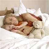 Bed Bugs Luggage Protection images Bed Bugs Luggage Protection images