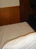 images of Bed Bugs Ut