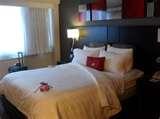 photos of Bed Bugs Crowne Plaza