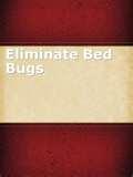 pictures of Bed Bugs Ipad