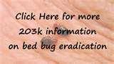 images of Bed Bugs Ri images of Bed Bugs Ri