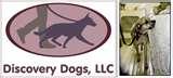 pictures of Bed Bugs Registry Washington Dc