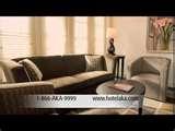 Bed Bugs Kingston Ontario images