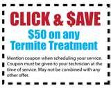 pictures of Bed Bugs Tallahassee