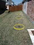 images of Bed Bugs Jefferson City images of Bed Bugs Jefferson City