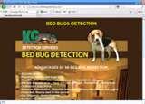 pictures of Bed Bugs Cleveland