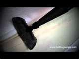 images of Bed Bugs 911 Review