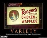 pictures of Bed Bugs Roscoe