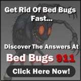 images of Bed Bugs 911 Review