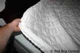 Bed Bugs Encasements photos