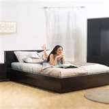 Bed Bugs Novel images Bed Bugs Novel images
